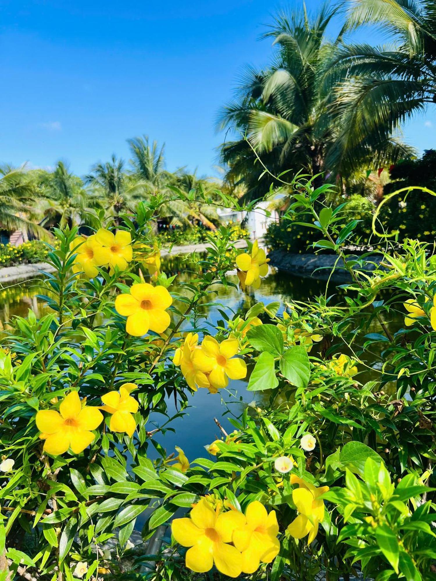 Ho Coc Park & Resort Xa Nhu Lam Eksteriør bilde